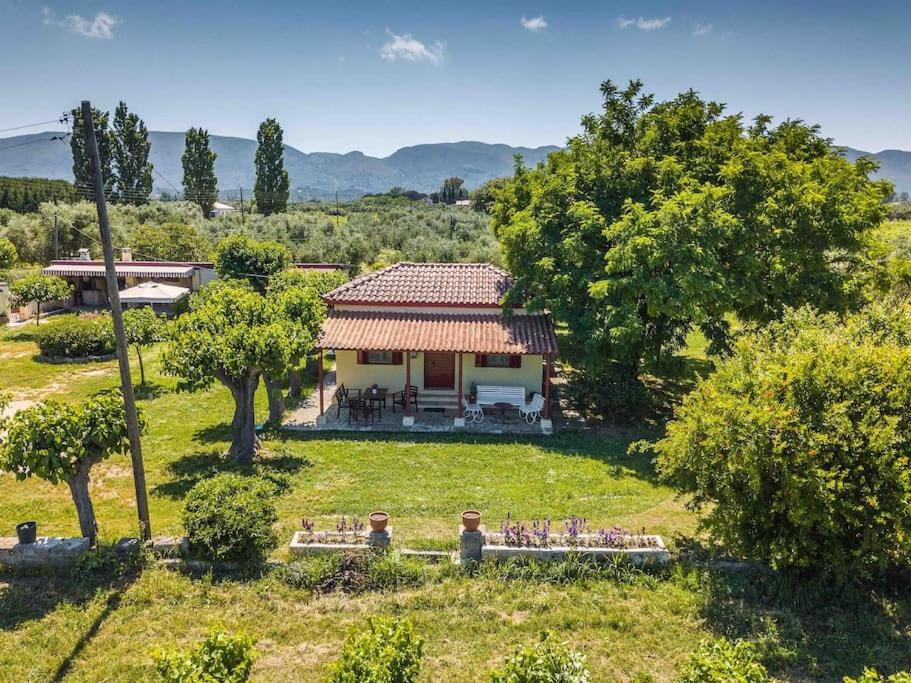 Authentic Country House In Zakynthos Ambelokipoi  Eksteriør billede
